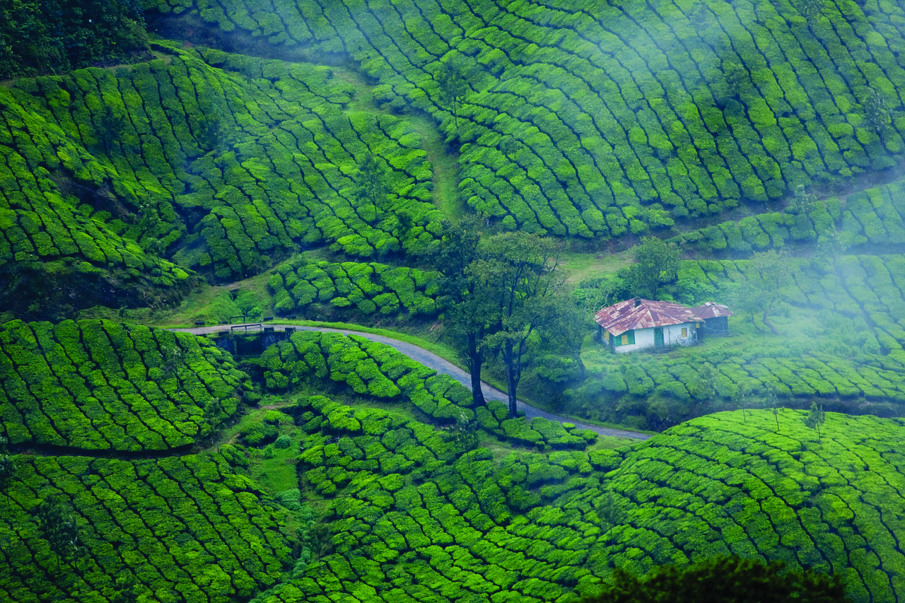 KERALA PACKAGES BEST BUDJET FRIENDLY